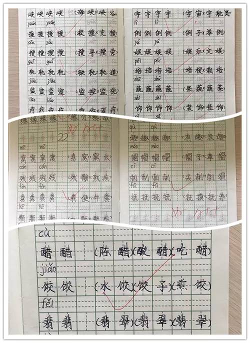 黄大仙三肖三码必中三肖，最新解答解释落实_3D65.41.80